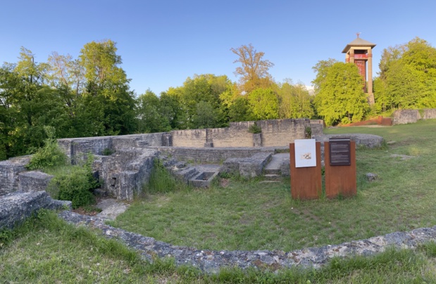 Stephanie ARAUJO Stephanie ARAUJO