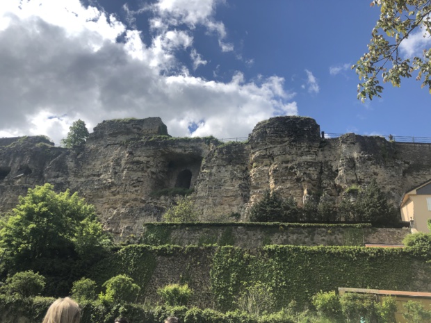 Iorga CEZARA Iorga CEZARA