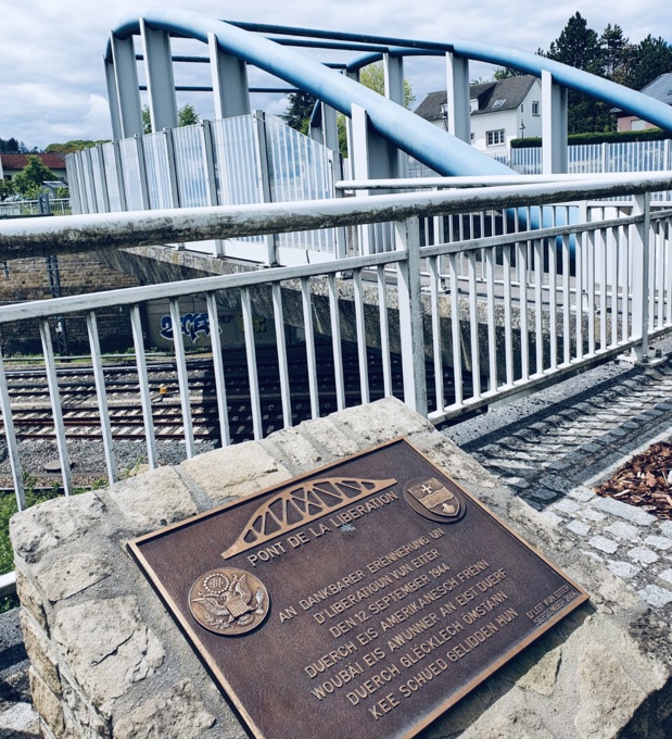 Tracy MACRI Tracy MACRI