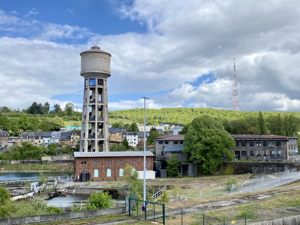 Lynn STRASSER Lynn STRASSER