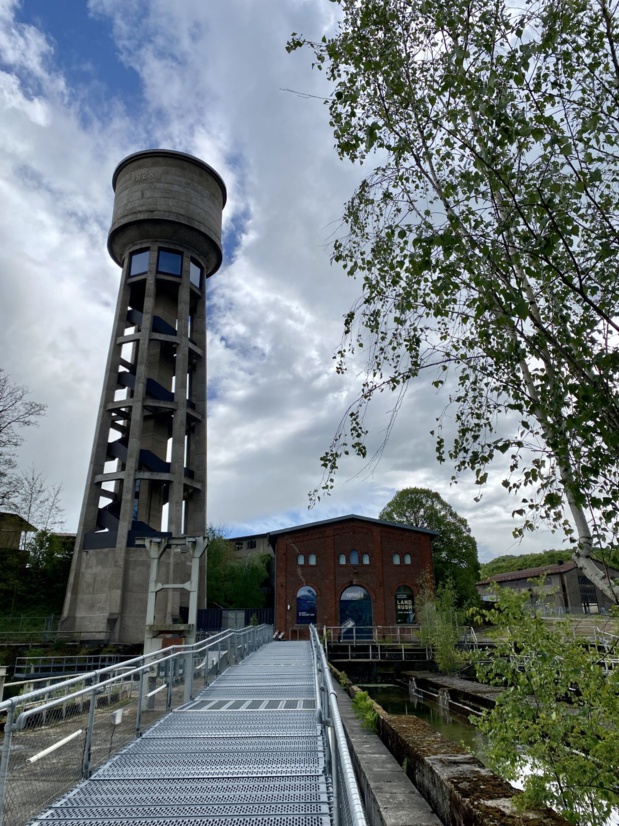 Lynn STRASSER Lynn STRASSER