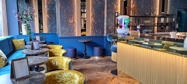 SHINZO BAR SHINZO BAR