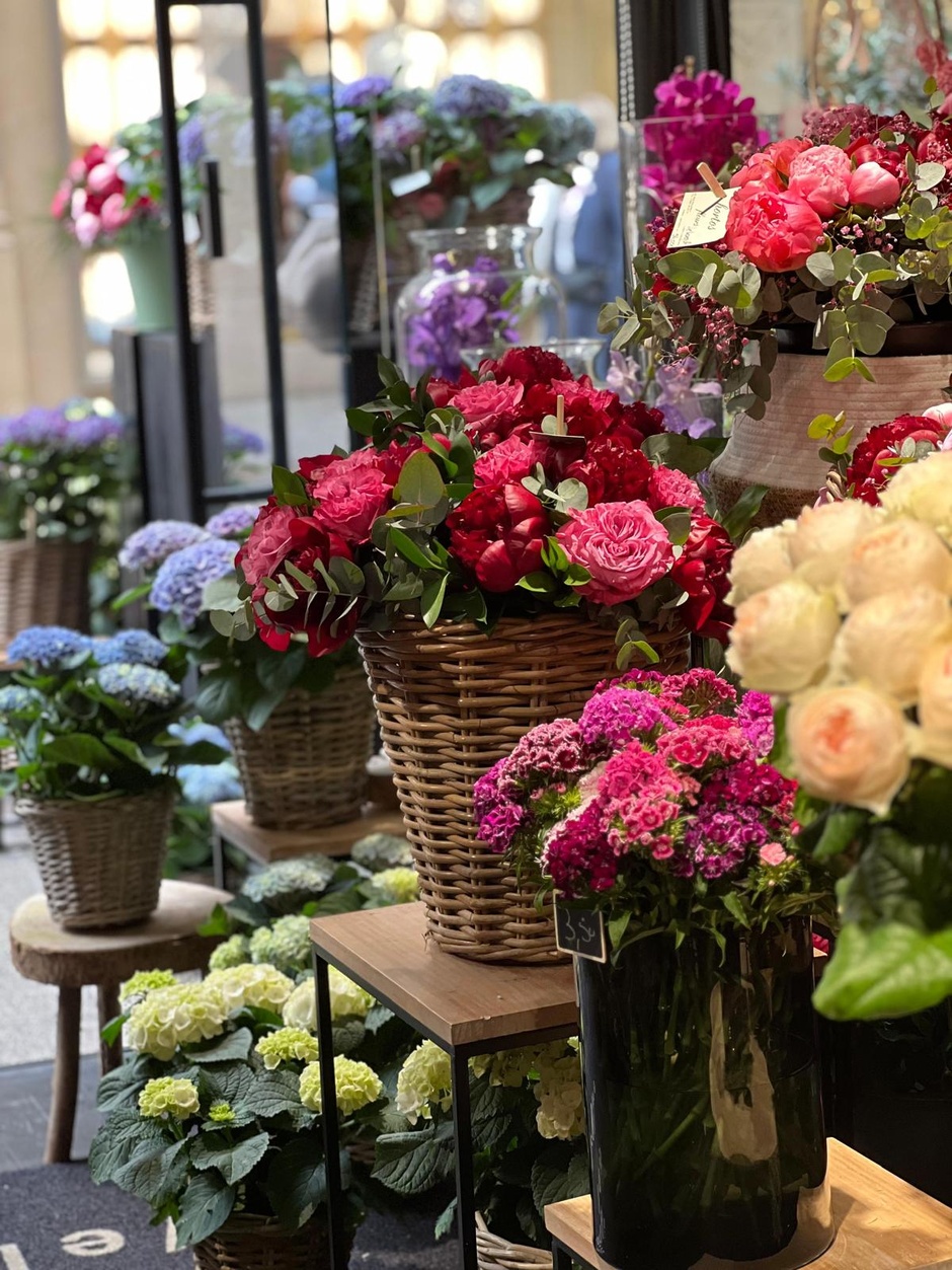 Hortos Fleurs Hortos Fleurs