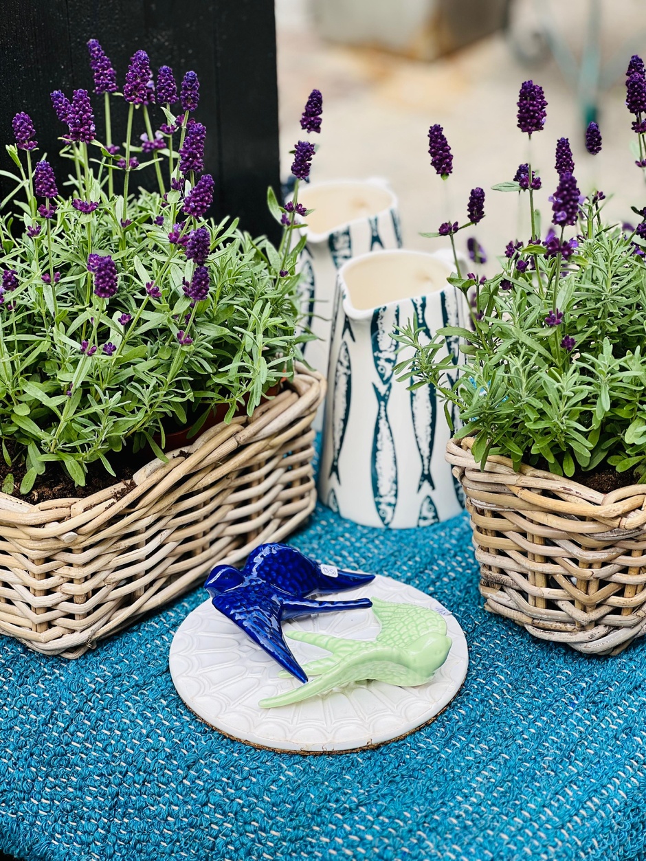 Hortos Fleurs Hortos Fleurs