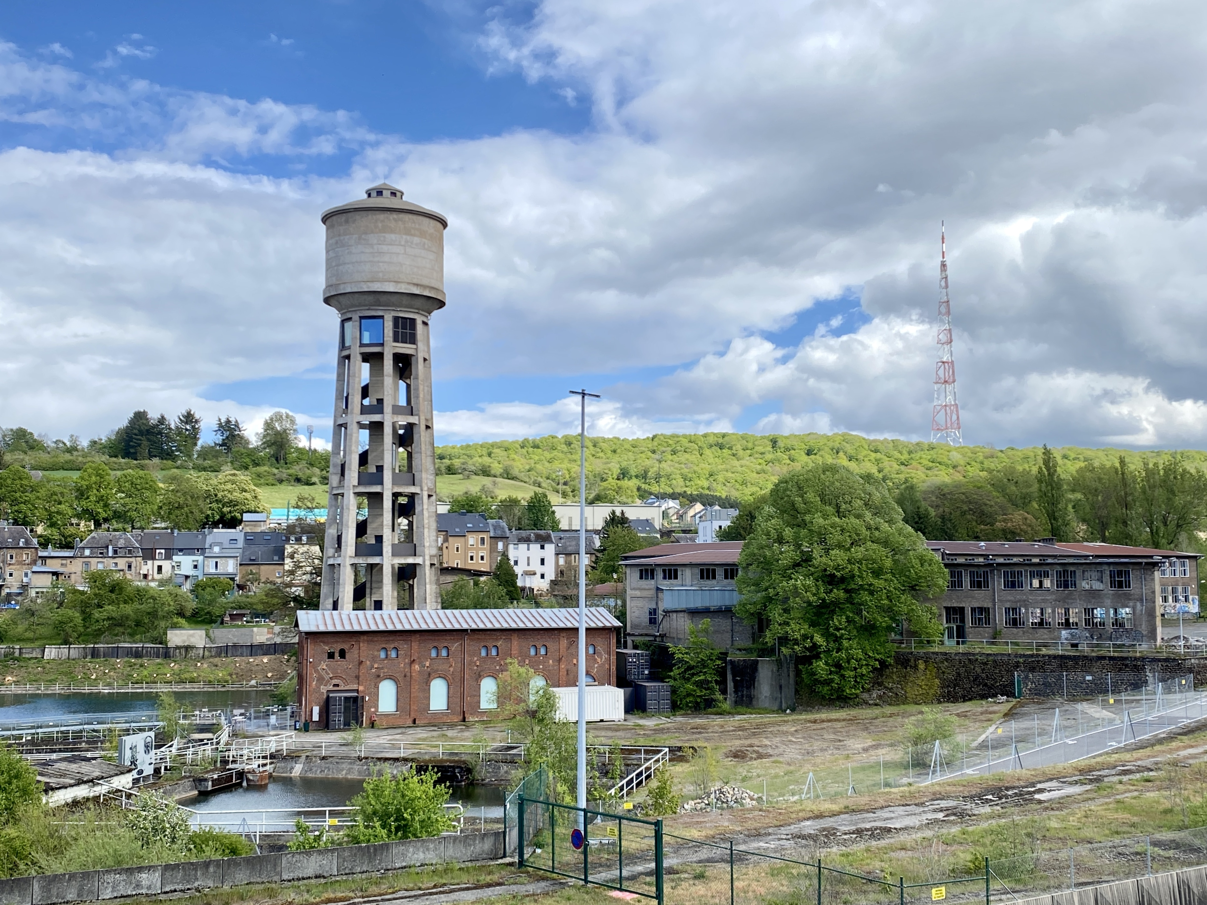 Lynn STRASSER Lynn STRASSER