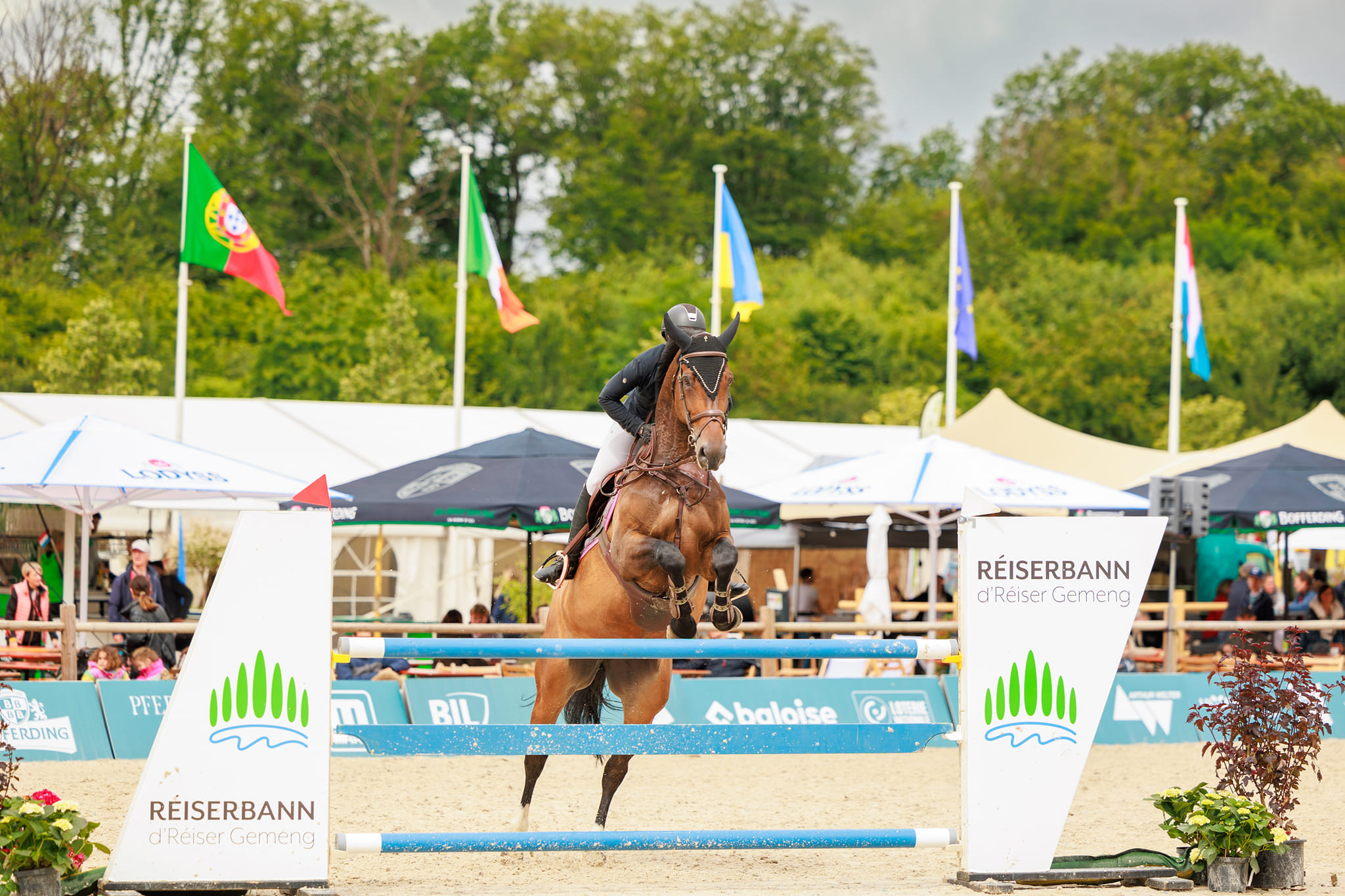 Photo by Patrick Schanen Photo by Patrick Schanen