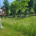 Nature Diekirch